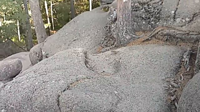 бурундуки на столбах смотреть онлайн