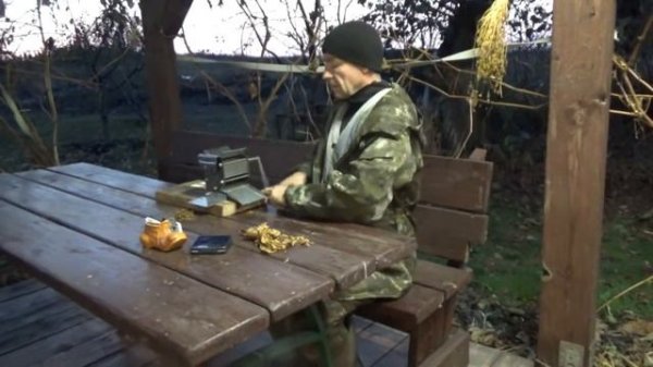 Вирджиния голд США