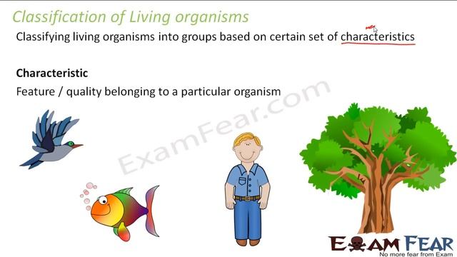 Biology Biological Classification part 1 (Introduction & Aristotle) CBSE class 11 XI смотреть онлайн