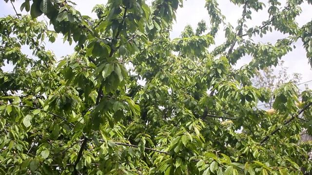 Washing machine for Raguliny / Стиральная машина для Рагулиных смотреть онлайн