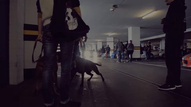 JDM meet Switzerland / Schwyz [HD] смотреть онлайн