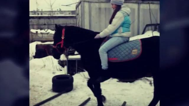 Лошади-моя жизнь смотреть онлайн