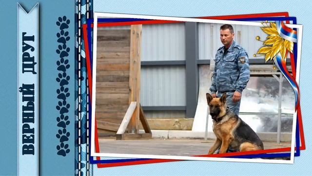 Другу кинологу I Friend of dog handlers | ProShow Producer смотреть онлайн