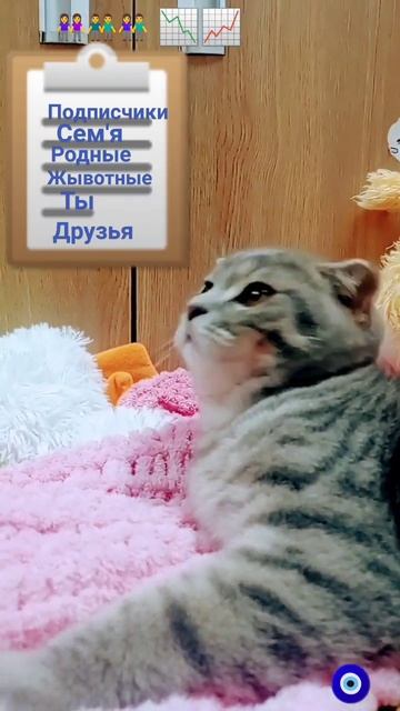 Кузи нету в списке самых лучшых смотреть онлайн