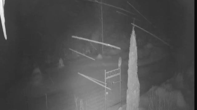 Здрасьте, я сова# смотреть онлайн