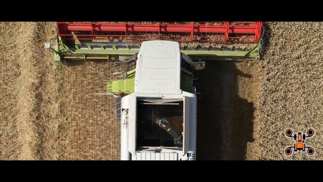 Moisson Blé 2023 CLAAS LEXION 580 en 9 mètres / Fendt 927 / DJI Air 2S смотреть онлайн