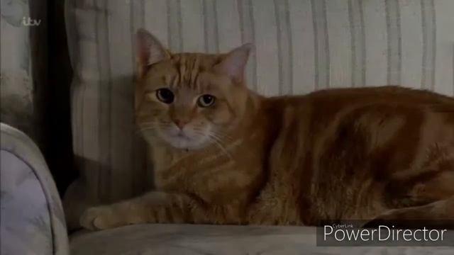 Coronation Street - Rita and Arthur The Cat - Lonely and Trapped (2/2) (24th December 2019) смотреть онлайн