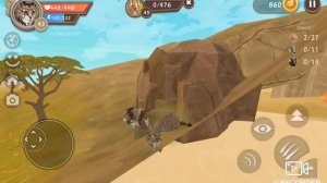 Проходим беременность рыси ДЖЕССИКИ в WildCraft