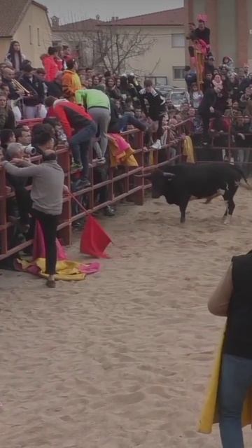 🚩🐂 Garcillan 📹 @JuanichiTaurino смотреть онлайн