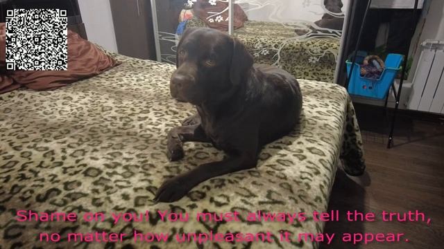 075 Как вежливо отказаться от приглашения смотреть онлайн