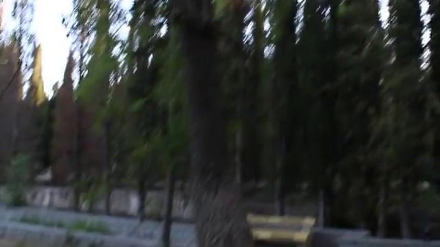 цЫкады? смотреть онлайн