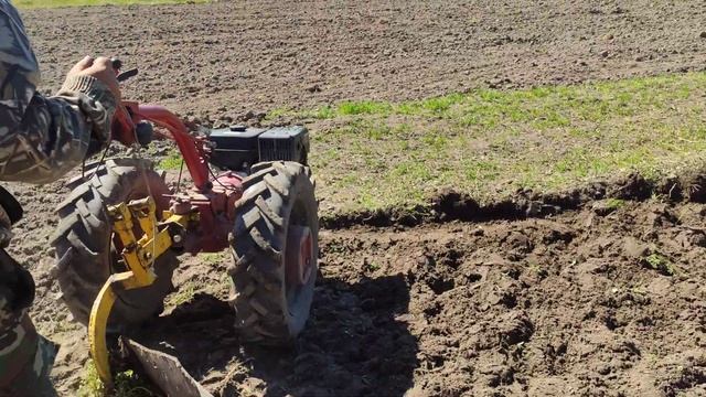 Сосед пашет конным плугом мотоблоком МТЗ на 16 колёсах