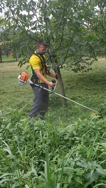 STIHL FS 235 смотреть онлайн