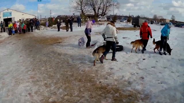 д.Горки, 25.02.2017г. 90 лет ДОСААФ России смотреть онлайн