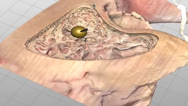 VES-B-D1.wmv смотреть онлайн