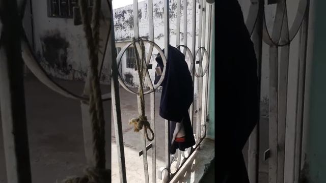 Sella kongol kodda fulbé poulo ko dimo смотреть онлайн