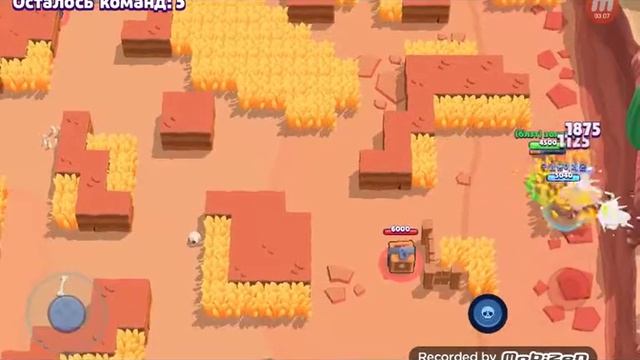 Типы людей из brawl stars смотреть онлайн
