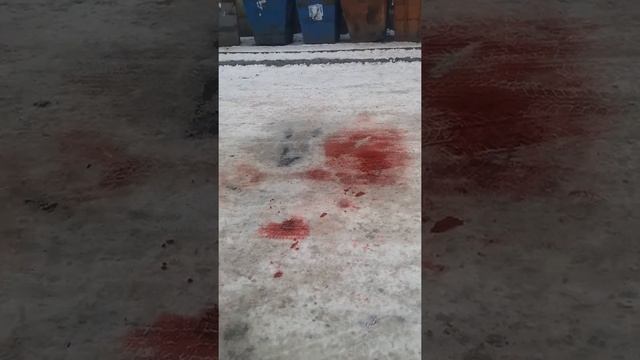 кровь на дороге смотреть онлайн