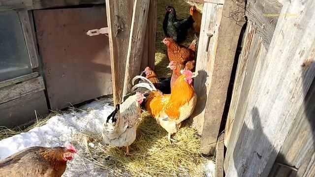 Разбираю чтобы добыть цветной и чёрный металл смотреть онлайн