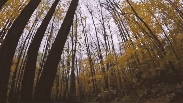 Autumn FPV vibes смотреть онлайн