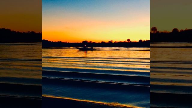 Vortex Oracle смотреть онлайн