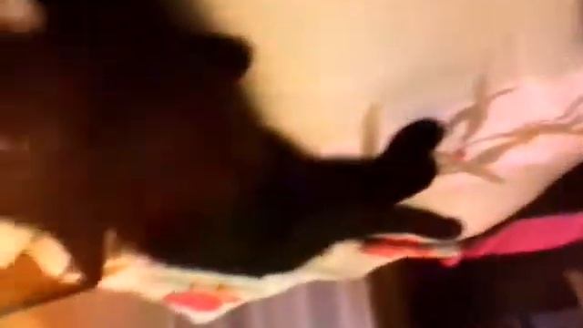 Мой любимый дом