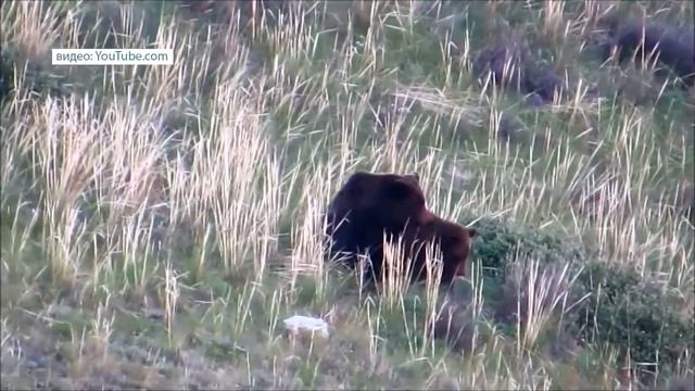 НОВОСТИ БАЙКАЛЬСКОГО РЕГИОНА (20.06.2022) смотреть онлайн