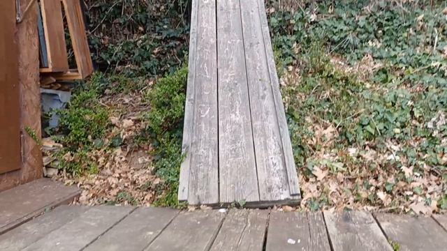 18 марта, 15 градусов, пчёлы работают