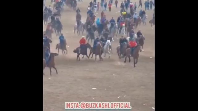 TELEGIRAMDAGI AJOYIB VEDYOLAR #TOPLAMI