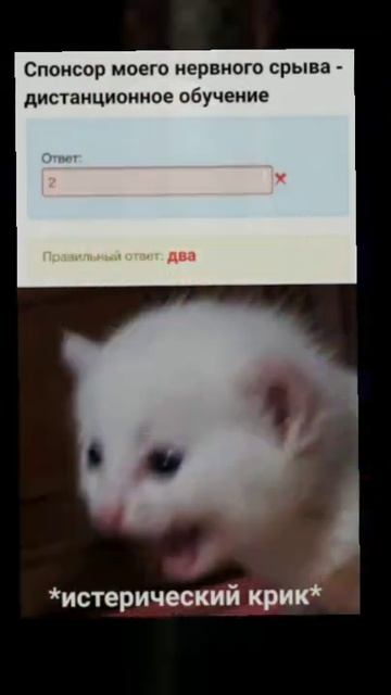 мемы (2026) смотреть онлайн