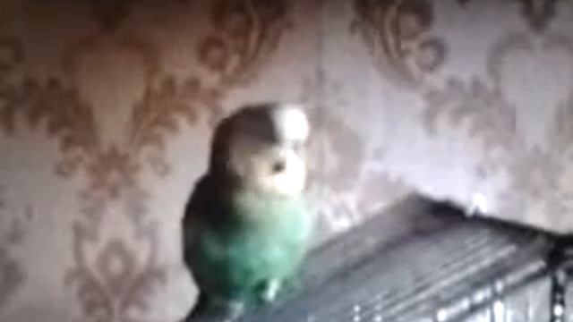 БАТЮШКА смотреть онлайн