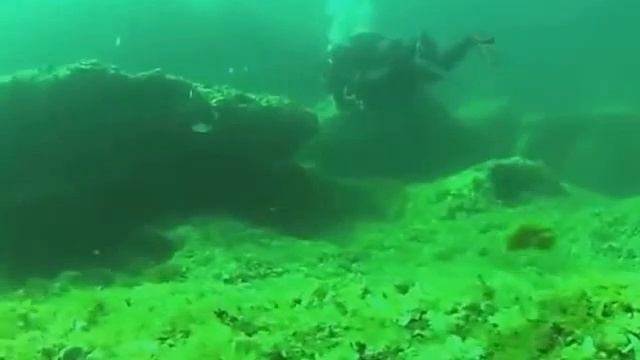 Immersione nelle Grotte di Porto Cesareo, area marina protetta смотреть онлайн