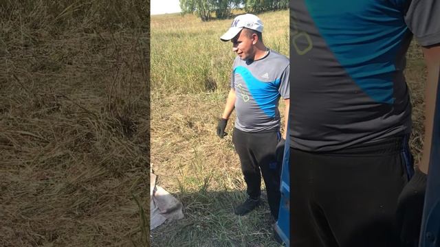 Лесорубы дрова пилят🌳⚓️ смотреть онлайн