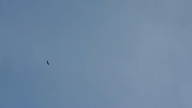 fw f35 смотреть онлайн