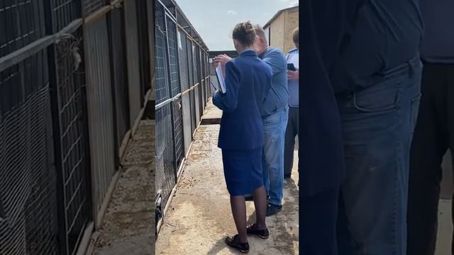 Проверка гос.вет службы и прокуратуры Мелекесского района смотреть онлайн