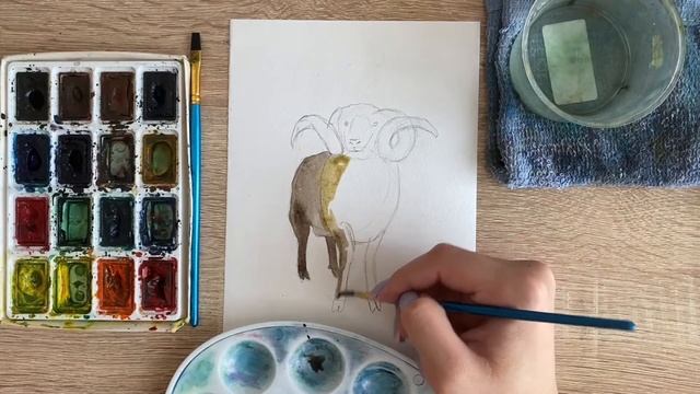 Как нарисовать барана карандашом и акварелью начинающим | Рисунок для детей смотреть онлайн