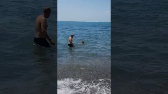 море Лиза леша Ахун смотреть онлайн