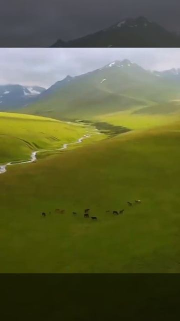 Природа Кыргызстана, мазь для душа. #бабт смотреть онлайн