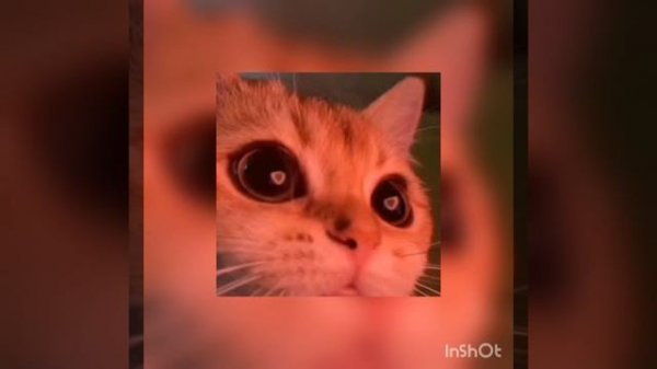 Христина Соловей-Тримай мене міцно 🎵