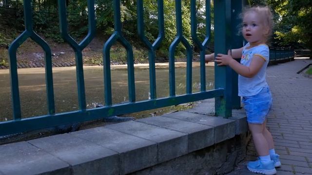 Небольшая экскурсия по зоосаду. смотреть онлайн