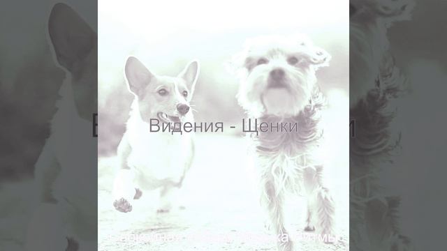 Атмосфера (Спокойные собаки) смотреть онлайн