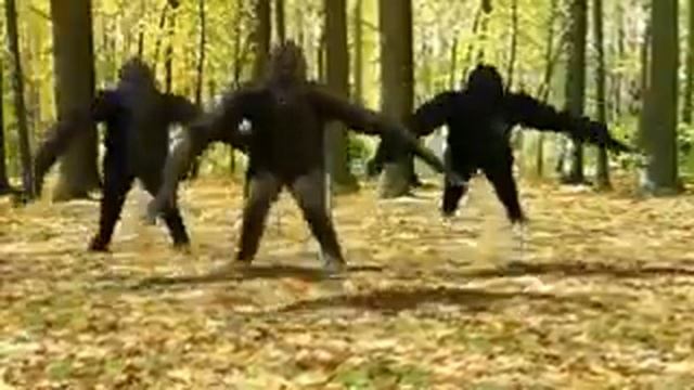 Gorila gila смотреть онлайн