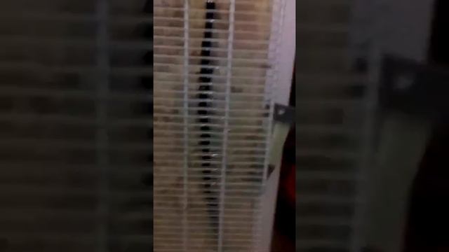 VID 20170519 185016 смотреть онлайн