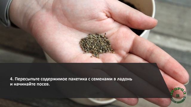 Огород на подоконнике