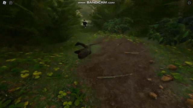 bandicam 2024-06-03 06-36-03-852 смотреть онлайн