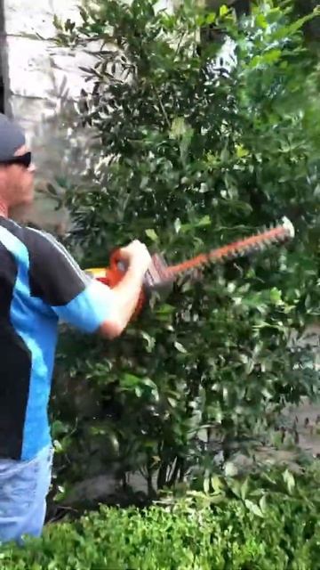 Millennial DEMANDS I stop using gas powered equipment #shorts смотреть онлайн