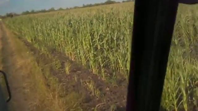 жнива 2015 їду до комбайна на т-150 смотреть онлайн