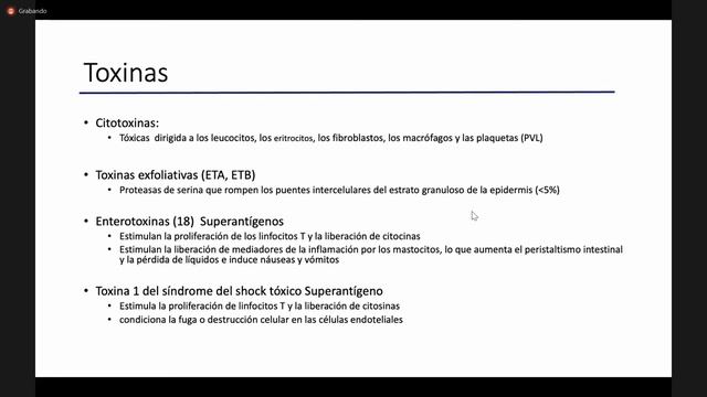 Cocáceas Gram (+) 1 29/6/21 смотреть онлайн