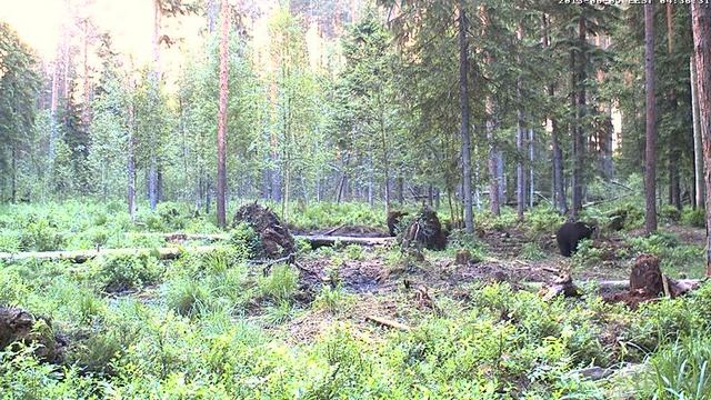 4: 29 утра (2013 год) (дима) смотреть онлайн