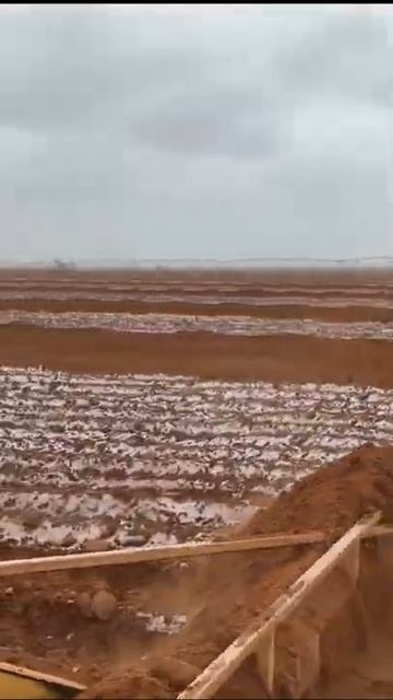 The latest addition to the farm, 2010 8245R. .#agriculture #farm #dji #tractor #johndeere #farmtok смотреть онлайн